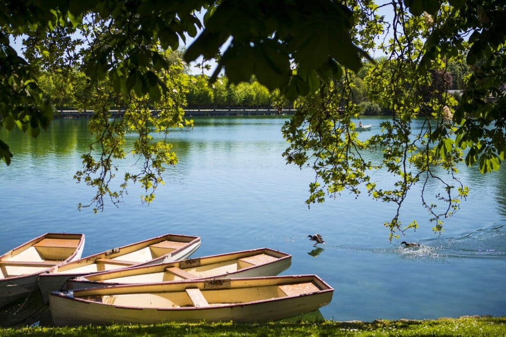 Team Building Olympiades à Fontainebleau