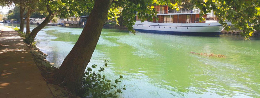 Itinéraire 2H en bateau électrique sans permis à Levallois-Perret : Les bords de Seine sont bucoliques depuis les bateaux Marin d'Eau Douce